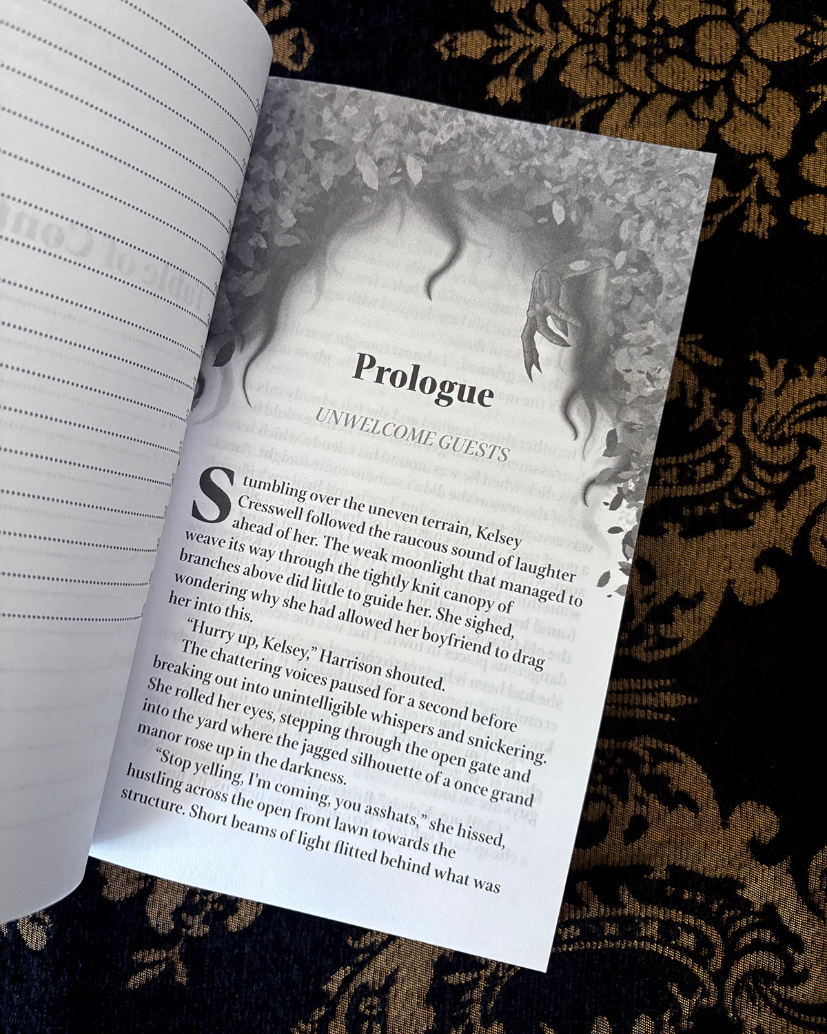 Shadow & Flame - Signed Paperback