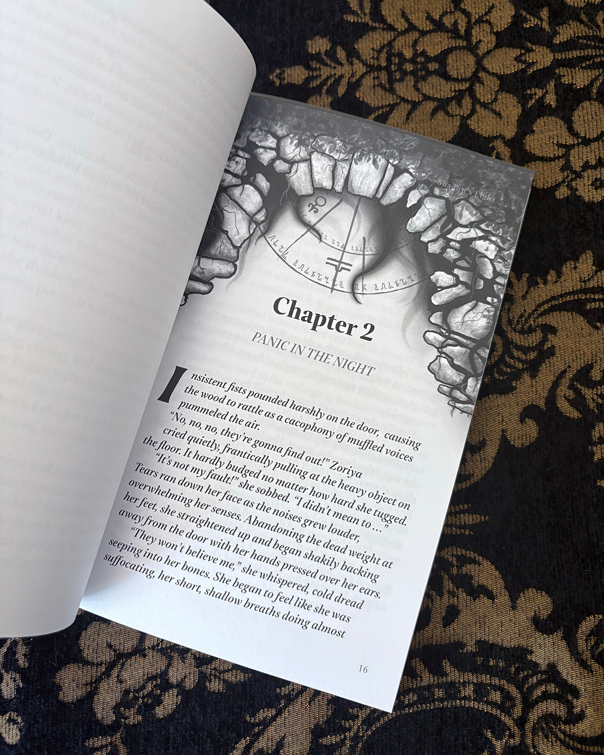 Shadow's Light - Signed Paperback