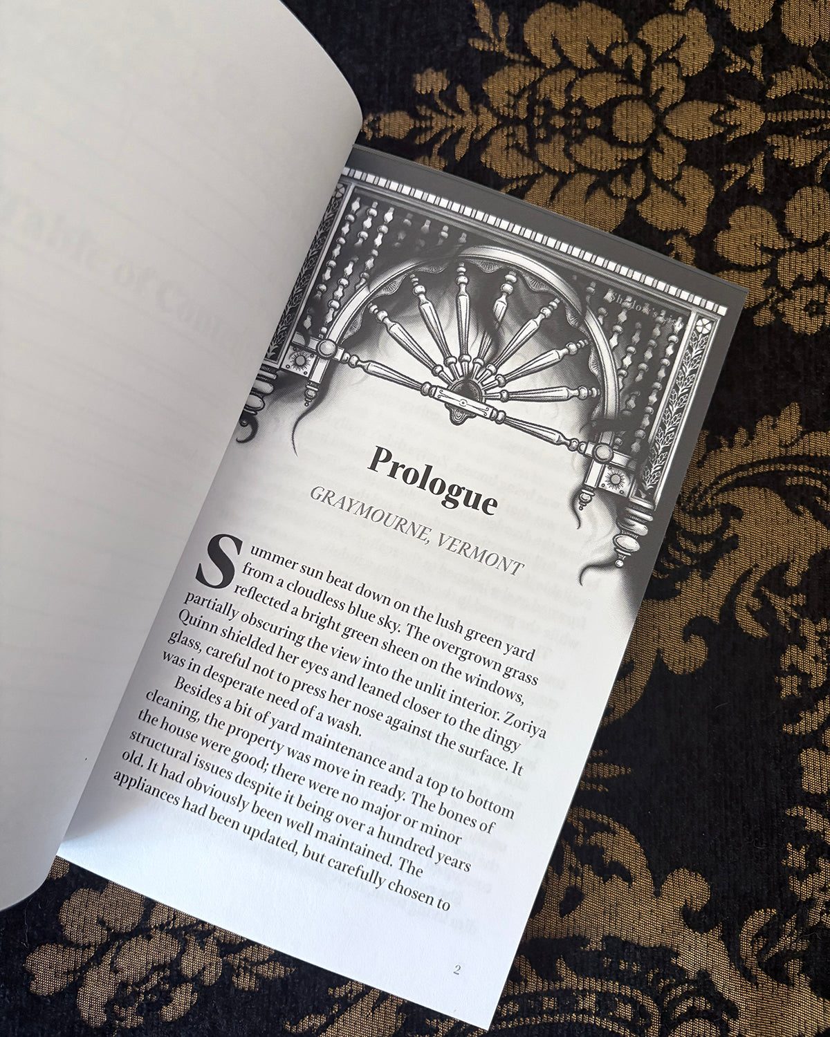 Shadow's Light - Signed Paperback